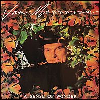 Van Morrison - A Sense Of Wonder - original 1984 vinyl